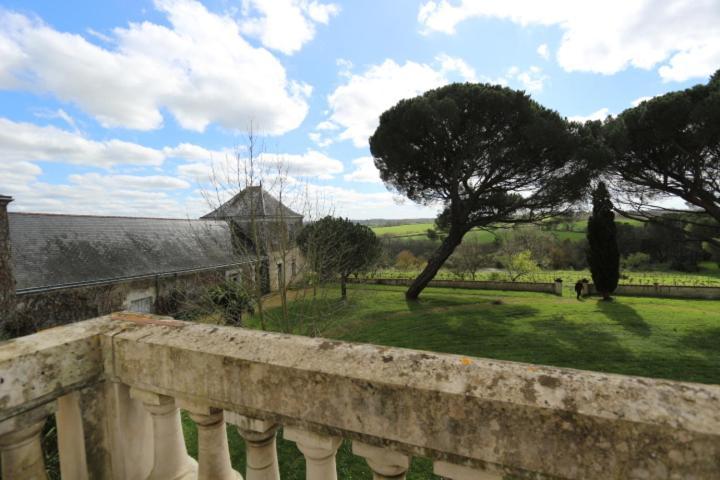 Vignoble Château Piéguë - winery Rochefort-sur-Loire Exterior foto